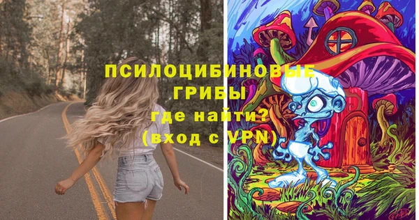 мдпв Белокуриха